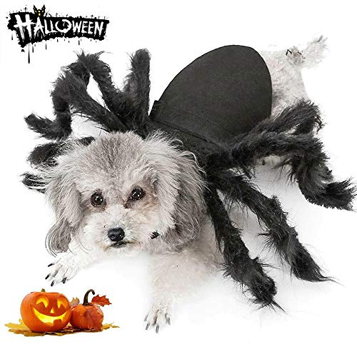 Spider Costume for Dogs and Cats - Halloween Fun