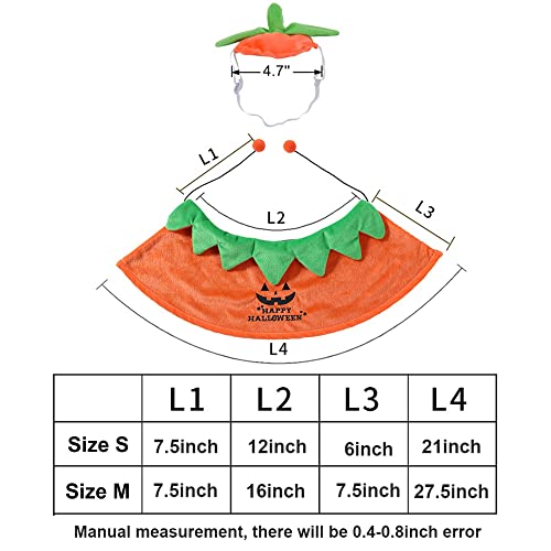 Pumpkin Cloak and Hat Set for Dogs