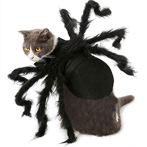 Spider Costume for Dogs and Cats - Halloween Fun