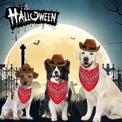 Funny Cowboy Dog Costume for Halloween Pets