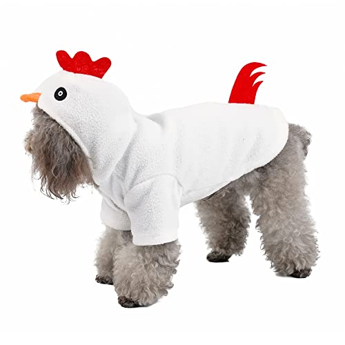 Funny Pet Costumes for Halloween and Holidays