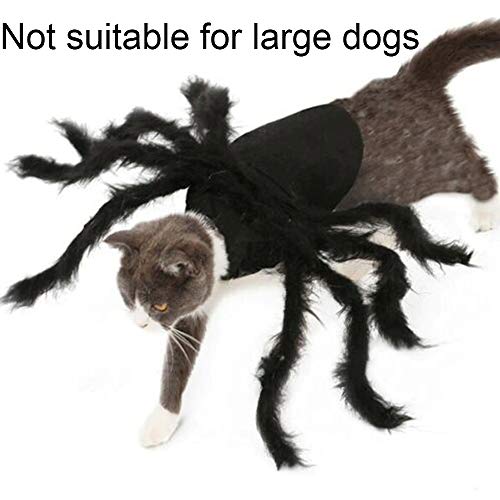 Spider Costume for Dogs and Cats - Halloween Fun