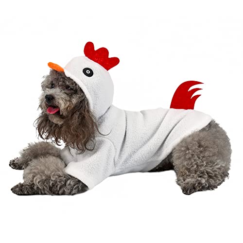 Funny Pet Costumes for Halloween and Holidays