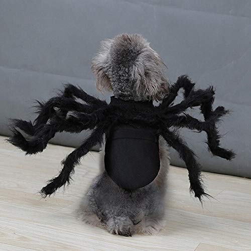 Spider Costume for Dogs and Cats - Halloween Fun