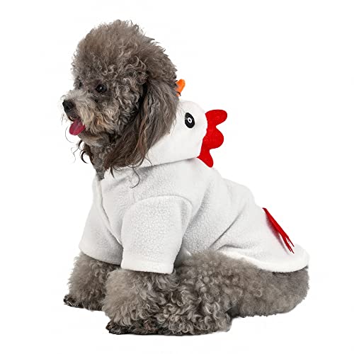 Funny Pet Costumes for Halloween and Holidays