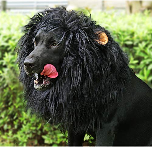 Lion Mane Wig for Dogs – Funny Halloween Costume