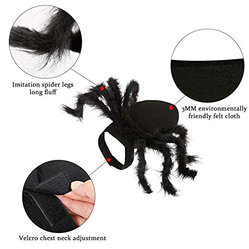 Spider Costume for Dogs and Cats - Halloween Fun