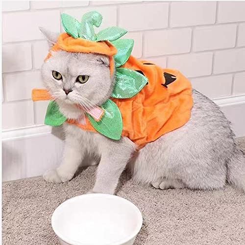 Adorable Pumpkin Costume Set for Cats & Dogs