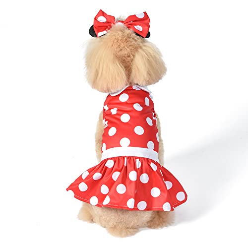 Minnie Mouse Halloween Costume for Dogs - Medium
