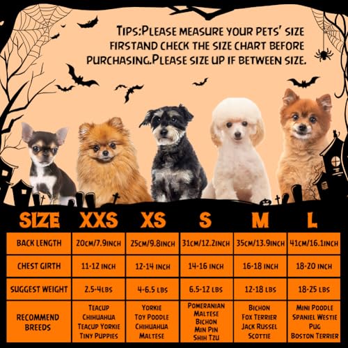 Wickedly Cute Halloween Costumes for Dogs