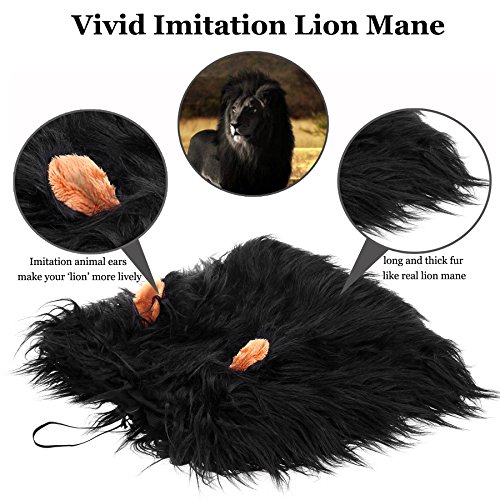 Lion Mane Wig for Dogs – Funny Halloween Costume