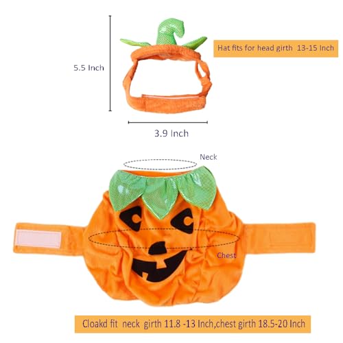 Adorable Pumpkin Costume Set for Cats & Dogs