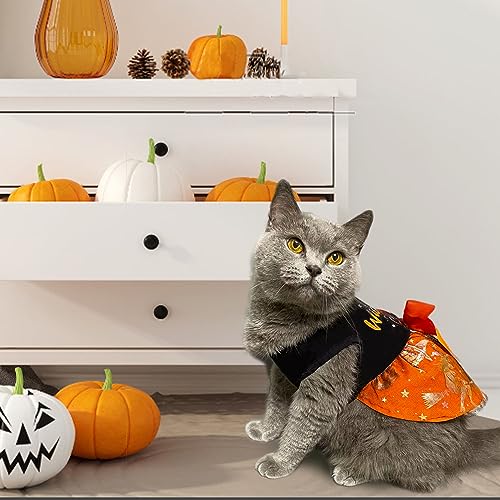 Wickedly Cute Halloween Costumes for Dogs