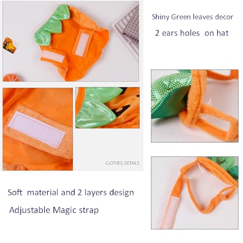 Adorable Pumpkin Costume Set for Cats & Dogs