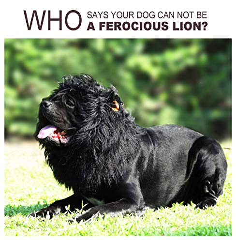 Lion Mane Wig for Dogs – Funny Halloween Costume