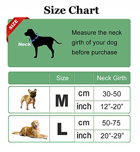 Lion Mane Wig for Dogs – Funny Halloween Costume