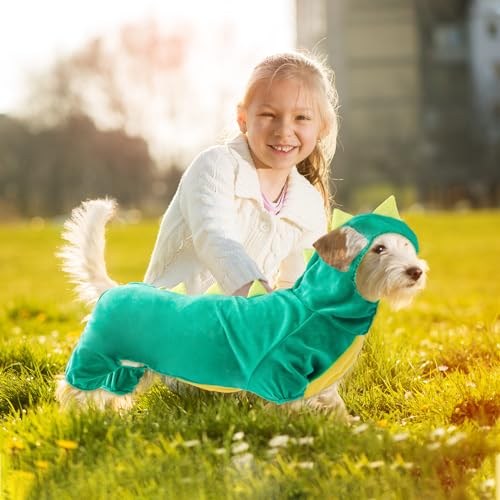 Dinosaur Dog Halloween Costume Hoodie for Small Pets