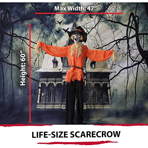 Haunted Hill Farm Life-Size Scary Skeleton Scarecrow Halloween Animatronic with Touch Activated Lights and Sound, Battery Operated Indoor or Covered Outdoor Halloween Decorations, Halloween Prop
