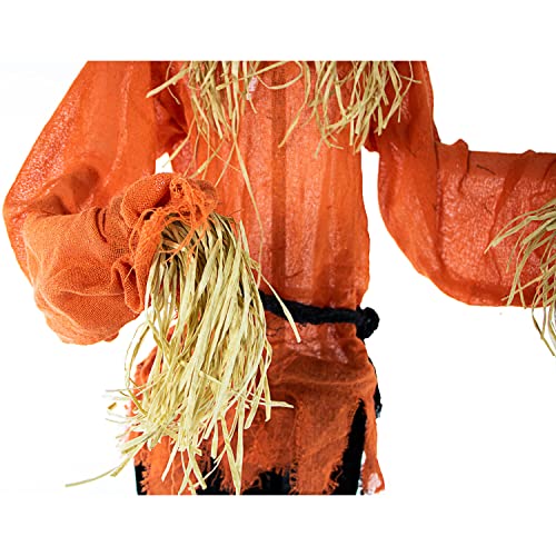 Haunted Hill Farm Life-Size Scary Skeleton Scarecrow Halloween Animatronic with Touch Activated Lights and Sound, Battery Operated Indoor or Covered Outdoor Halloween Decorations, Halloween Prop