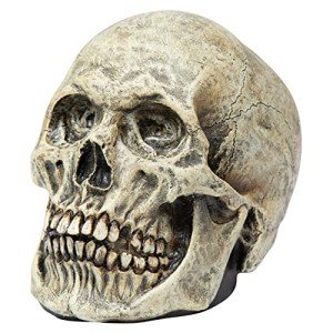 Ghoulish Productions Skull Latex Accessory for Halloween