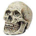 Ghoulish Productions Skull Latex Accessory for Halloween