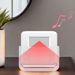 Talking Motion Sensor Voice Player for Halloween