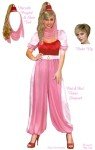 Plus Size Jeannie the Genie Costume Jumpsuit & Hat