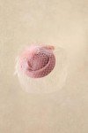 Nude Pink Feather Fascinator Hat for Halloween Parties