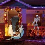 UMEELR 5.4FT Halloween Full Size Skeleton, Plastic Life Size Human Skeletons with 2 Random Animal Skeletons for Halloween Party Decoration