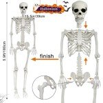 UMEELR 5.4FT Halloween Full Size Skeleton, Plastic Life Size Human Skeletons with 2 Random Animal Skeletons for Halloween Party Decoration