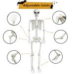 UMEELR 5.4FT Halloween Full Size Skeleton, Plastic Life Size Human Skeletons with 2 Random Animal Skeletons for Halloween Party Decoration