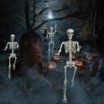 UMEELR 5.4FT Halloween Full Size Skeleton, Plastic Life Size Human Skeletons with 2 Random Animal Skeletons for Halloween Party Decoration