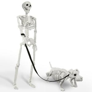 Lighted Human and Dog Skeleton Halloween Decor