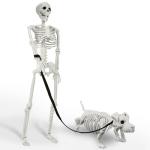 Lighted Human and Dog Skeleton Halloween Decor