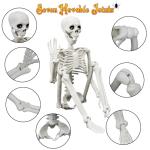Lighted Human and Dog Skeleton Halloween Decor