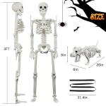 Lighted Human and Dog Skeleton Halloween Decor