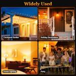 LED Flame Light Bulbs - 4 Modes (2 Pack)