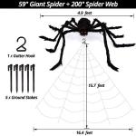 Giant Spider Web with Creepy Spider Decorations