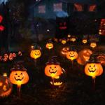 Solar Jack O'Lantern Stake String Lights - 6 Pack
