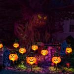 Solar Jack O'Lantern Stake String Lights - 6 Pack