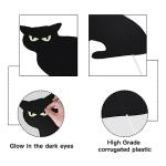 6ct Black Cat Glow-in-the-Dark Yard Signs