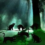 6ct Black Cat Glow-in-the-Dark Yard Signs