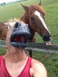 Deluxe Horse Head Halloween Mask for Adults