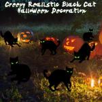 6 Pack Glow in the Dark Black Cat Yard Signs