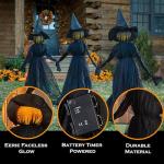 Set of 3 LED Black Witches Garden Stakes