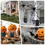 Giant Realistic Spider with 4 Small Spiders