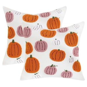 Embroidered Halloween Pumpkin Pillow Covers Set of 2