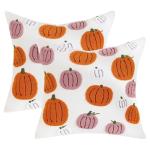 Embroidered Halloween Pumpkin Pillow Covers Set of 2
