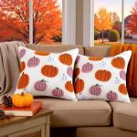 Embroidered Halloween Pumpkin Pillow Covers Set of 2