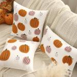 Embroidered Halloween Pumpkin Pillow Covers Set of 2